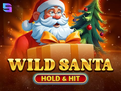 Wild Santa - Hold and Hit icon